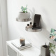 Small round shelves 2-pack
