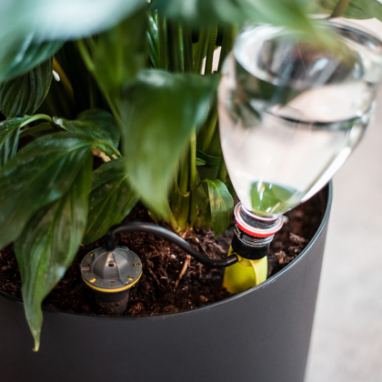 dog self watering system