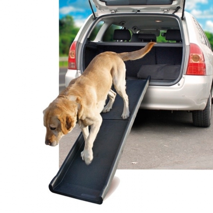 dog ramp for caravan