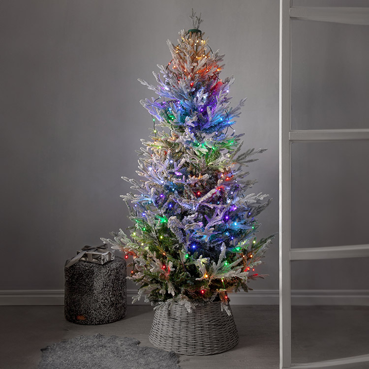 Appcontrolled Christmas tree lights outdoor Christmas lights