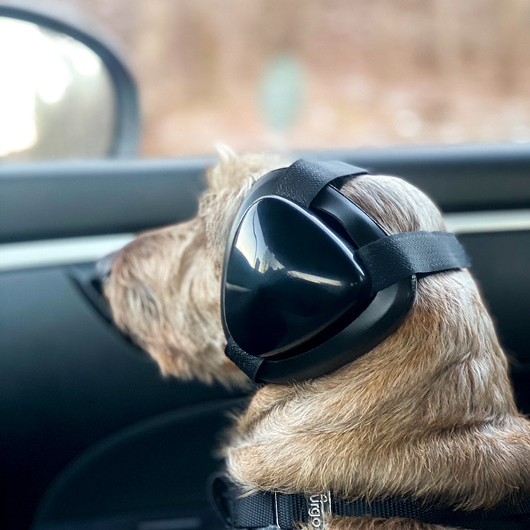 Hearing protection for dogs Buy the Muttmuff hearing protection today SmartaSaker