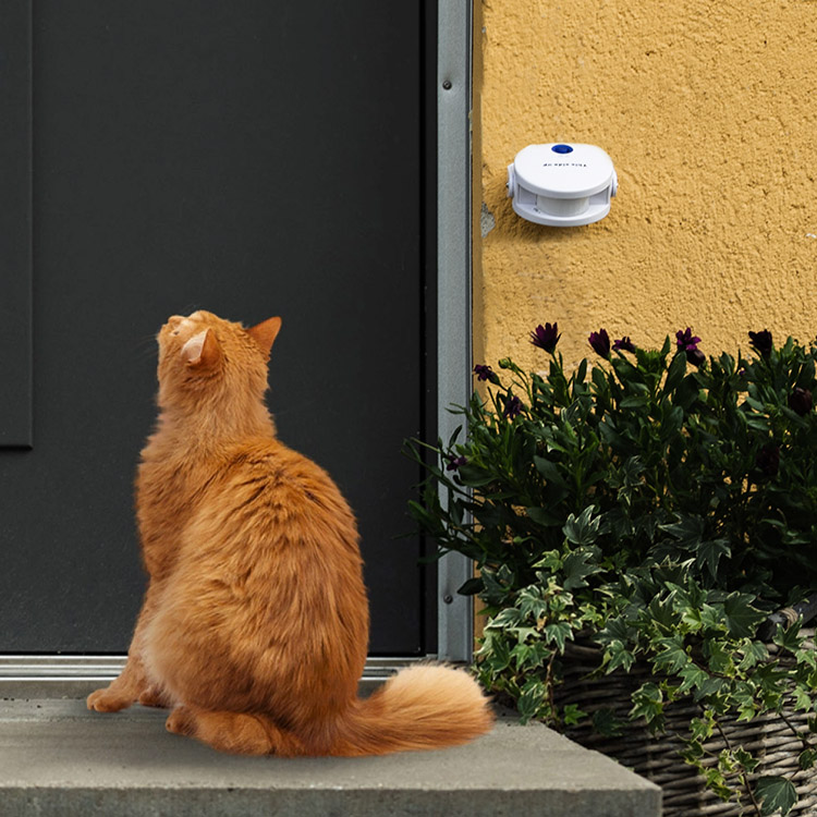 Cat Doorbell