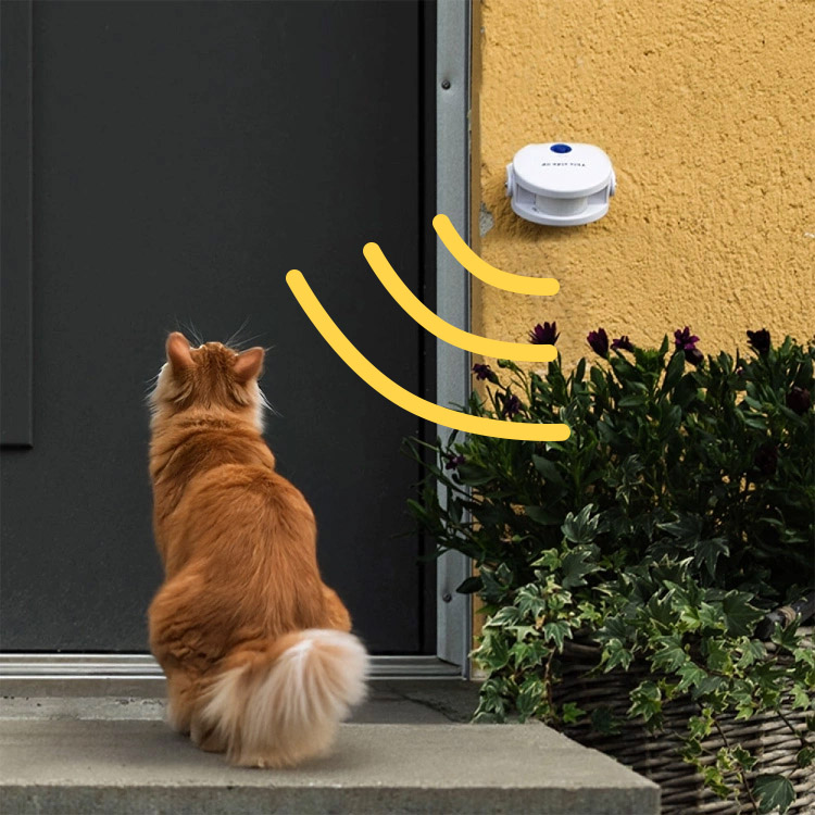 Cat Doorbell