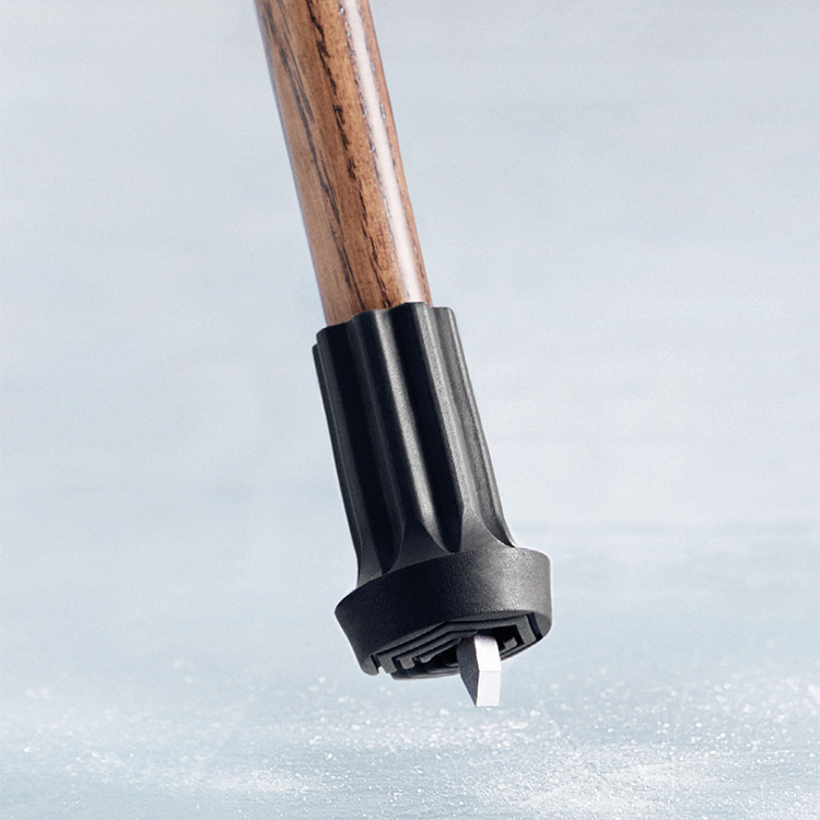 Cane shoe with ice spike