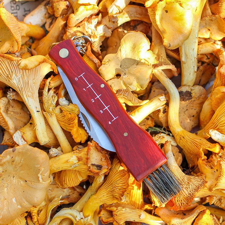 Mushroom Knife