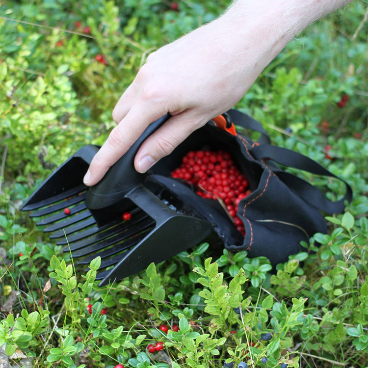 Collapsible Berry-Picker