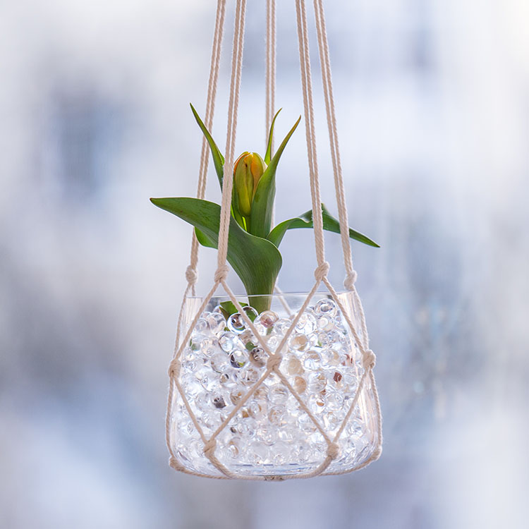 Buy water beads for plants online SmartaSaker