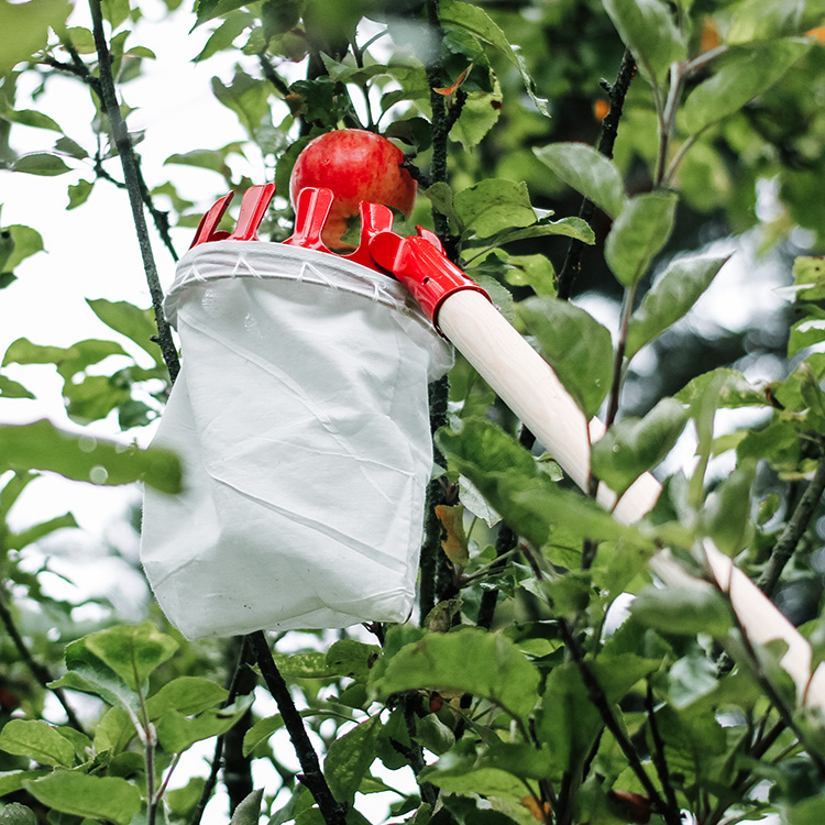 Fruit picker