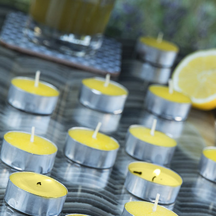 Citronella mosquito candle