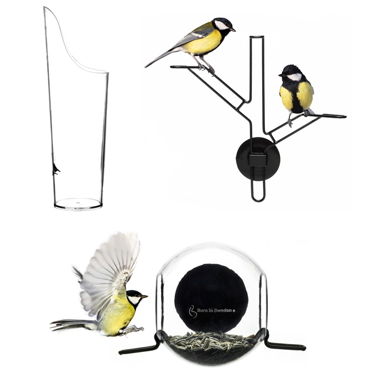 Bird Feeder Kit