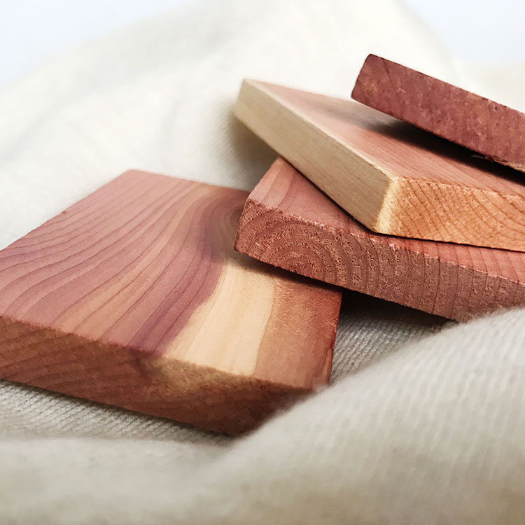 Cedar Scent Block