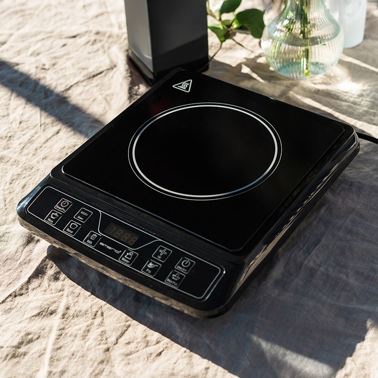 Portable induction stove