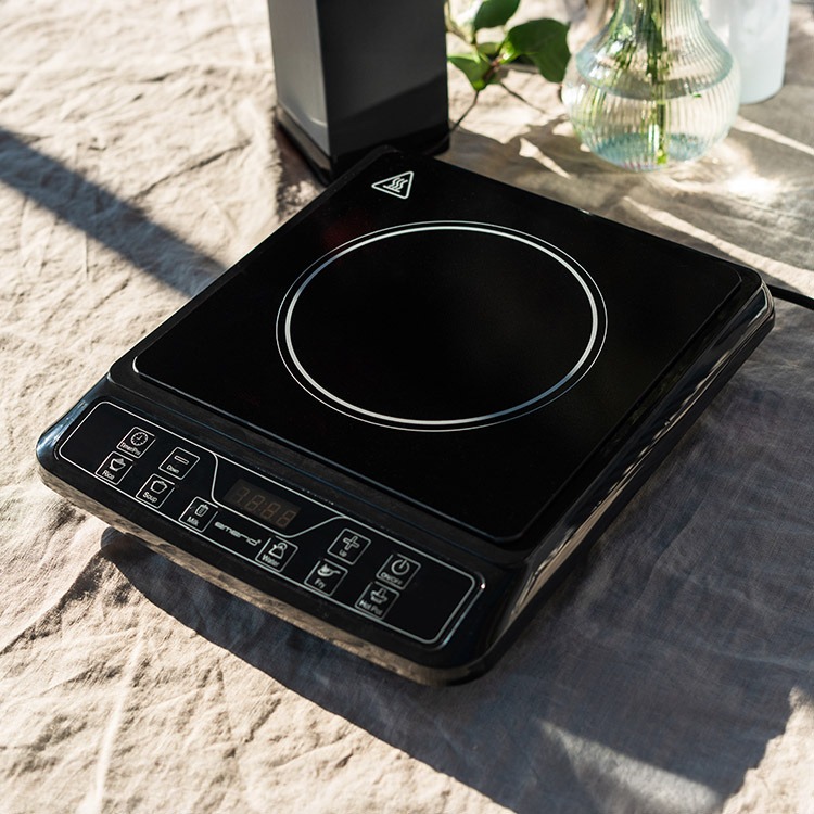 Portable induction stove 