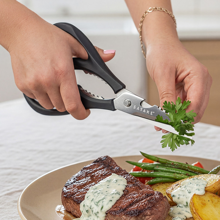 Satake Multi Purpose Scissors