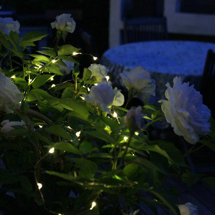 Solar powered string lights