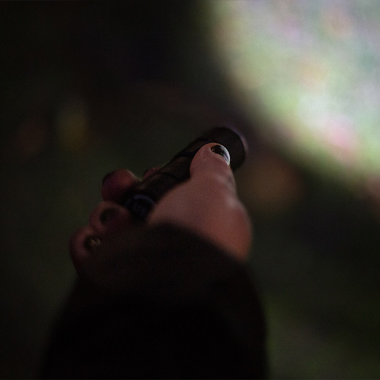 Flash light with USB port