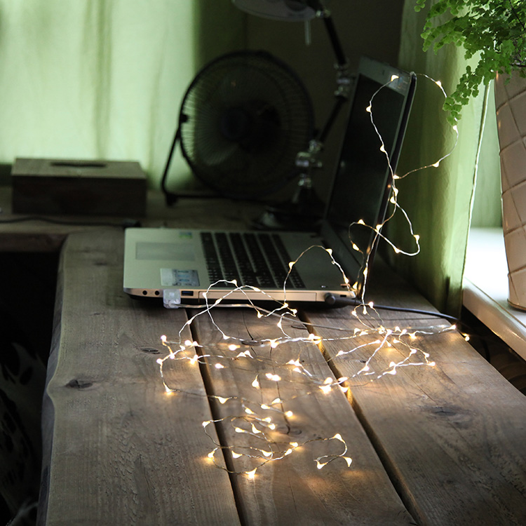 String lights with USB port