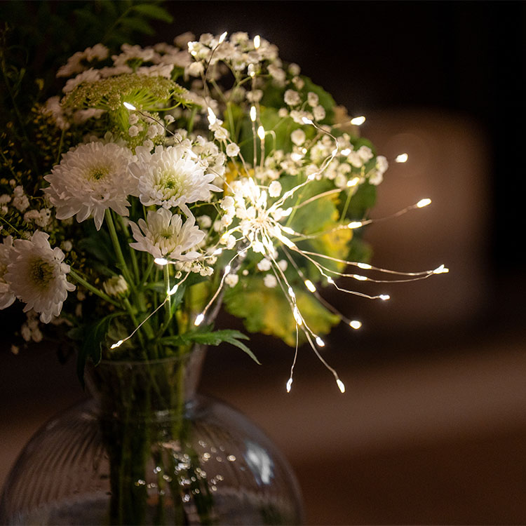 Firework Fairy Lights