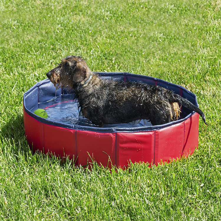 Foldable Dog Pool