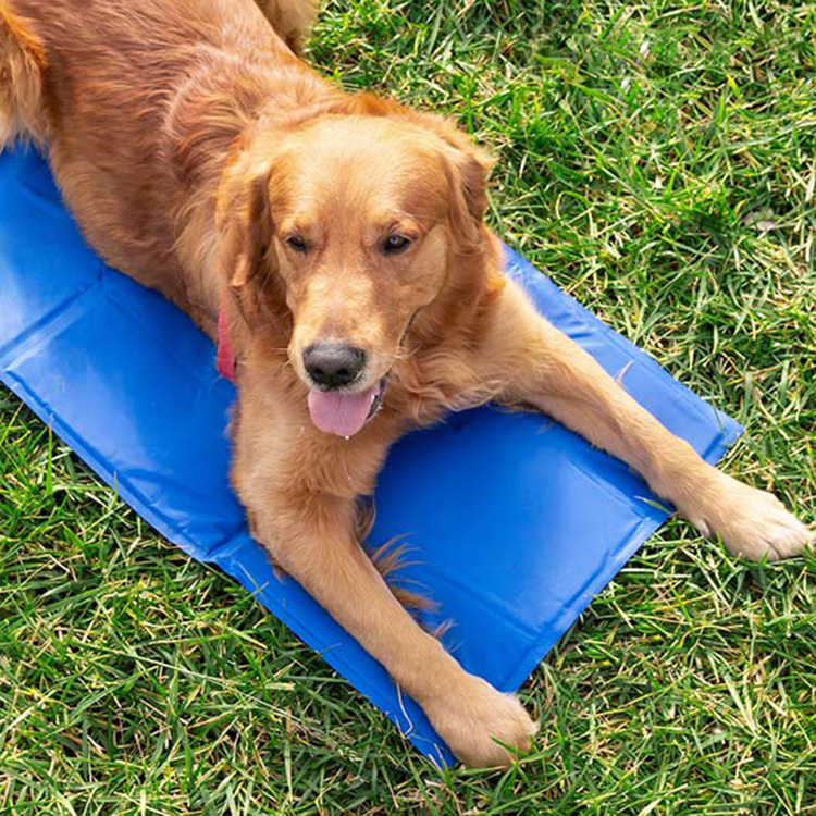 Cooling dog mat