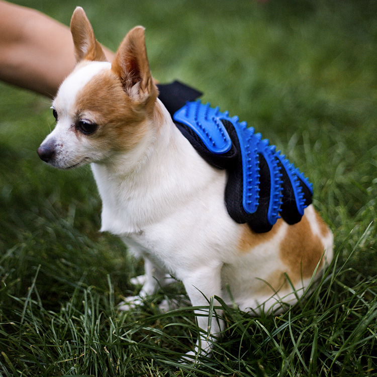 Brush glove for dog & cat