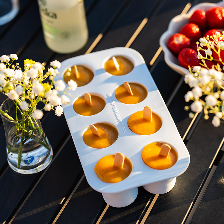 Freezer mold with lid
