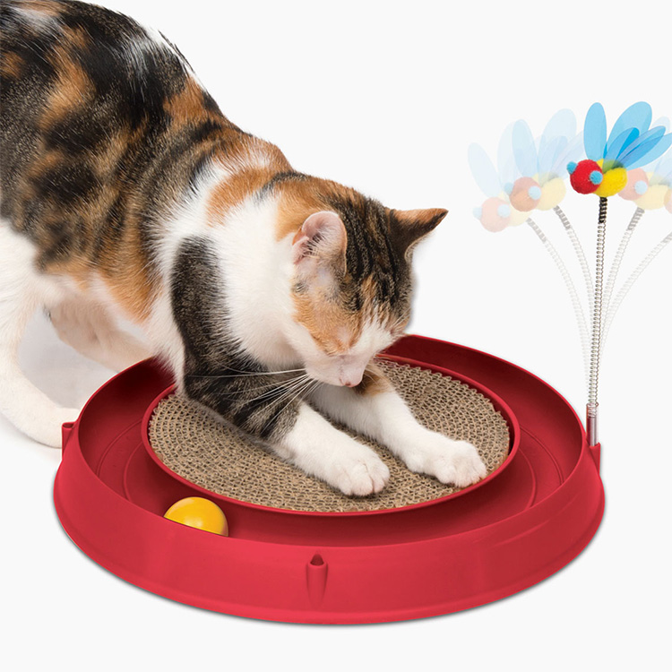 Cat Toy with a Scratching Board