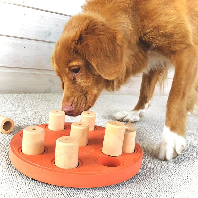 Activity Games for Dogs
