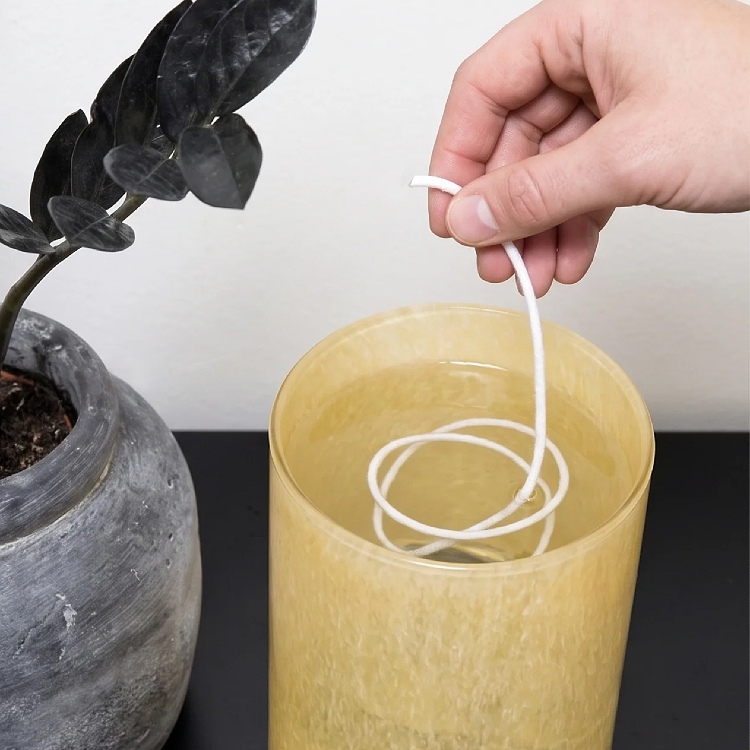 Watering Wick, pack of five