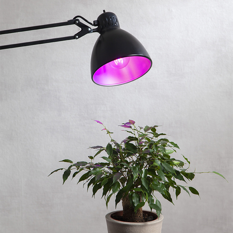 LED light bulbs for plants and flowers