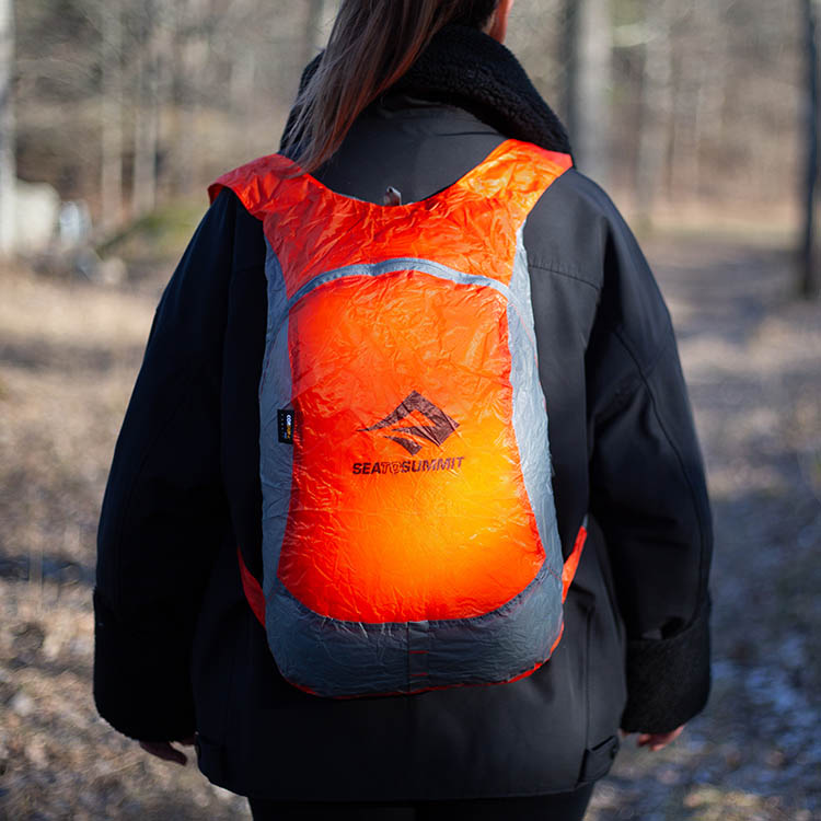 Travel Daypack