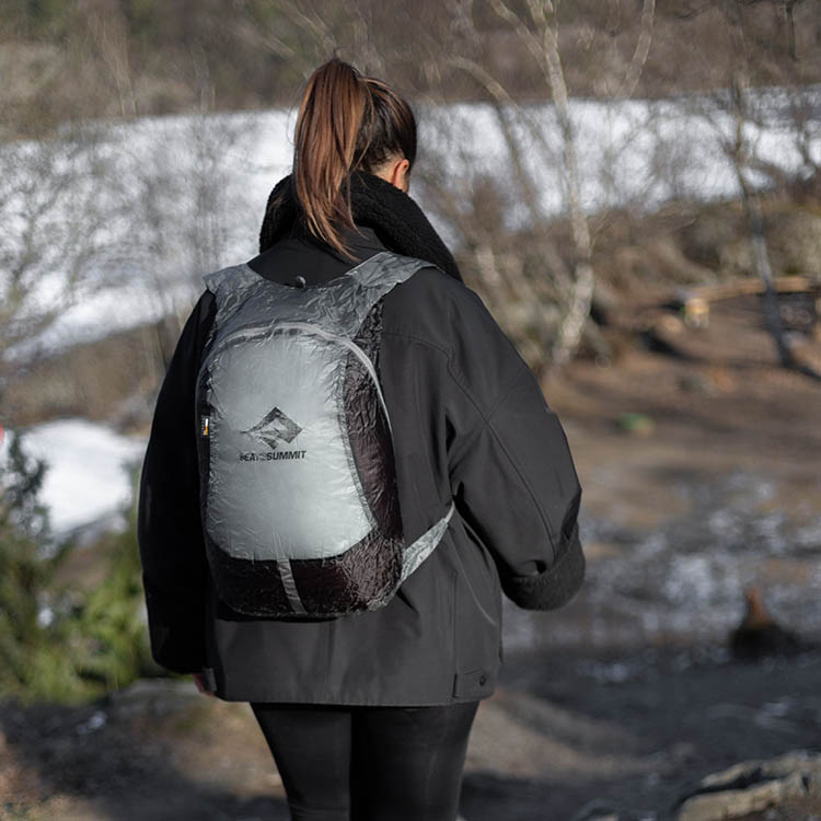 Travel Daypack