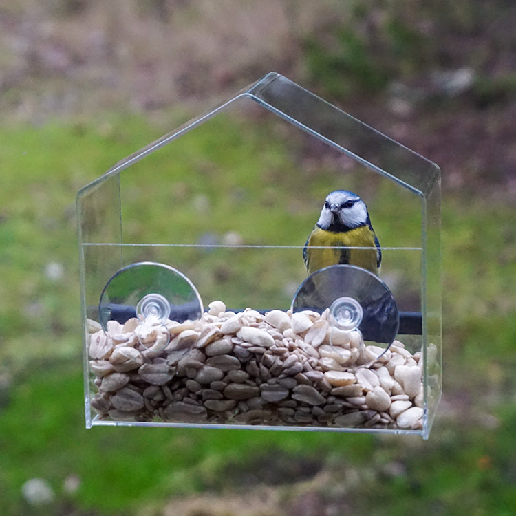 Small window bird feeder