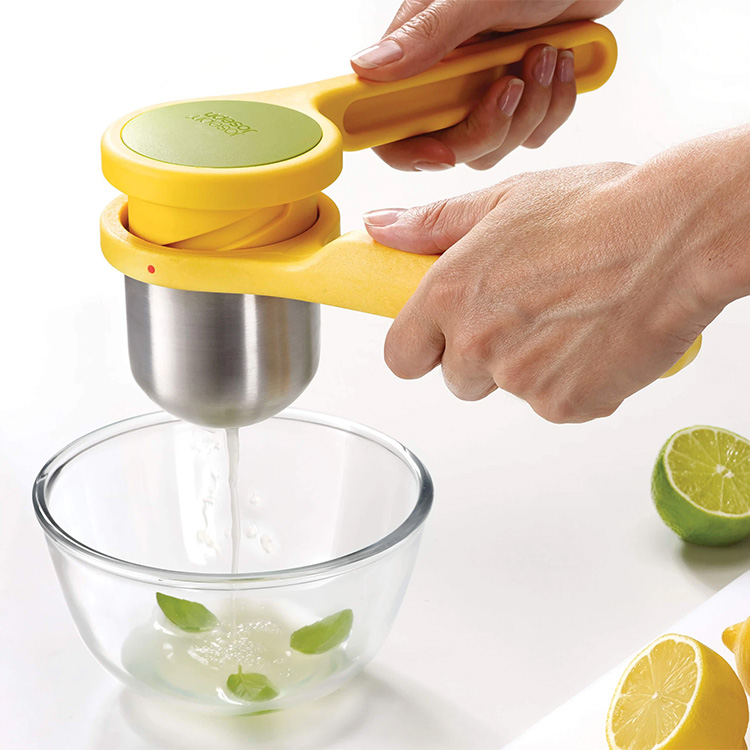 Citrus juicer