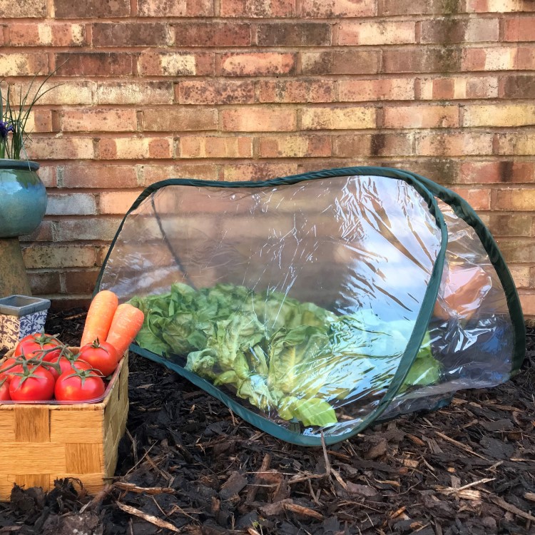 Farming tunnel in plastic