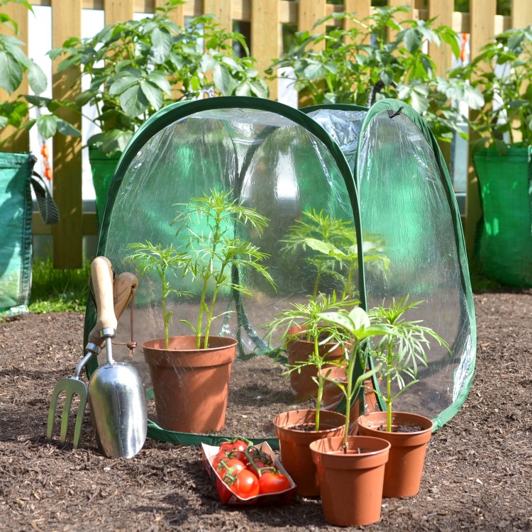 Small greenhouse for potted plants