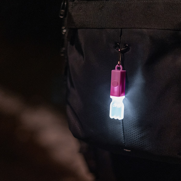 Rechargeable mini light