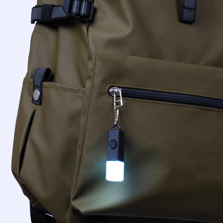 Rechargeable mini light