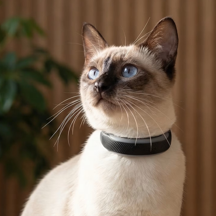 GPS for cats, Tractive