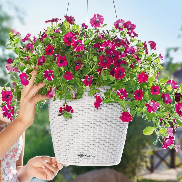 Self-watering hanging plant pot