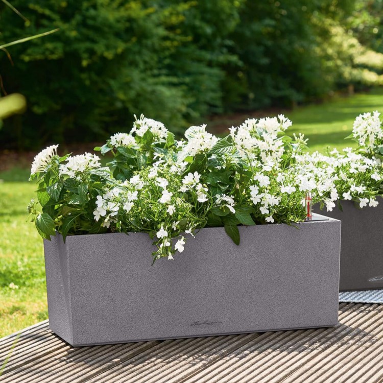 Self-watering flower box