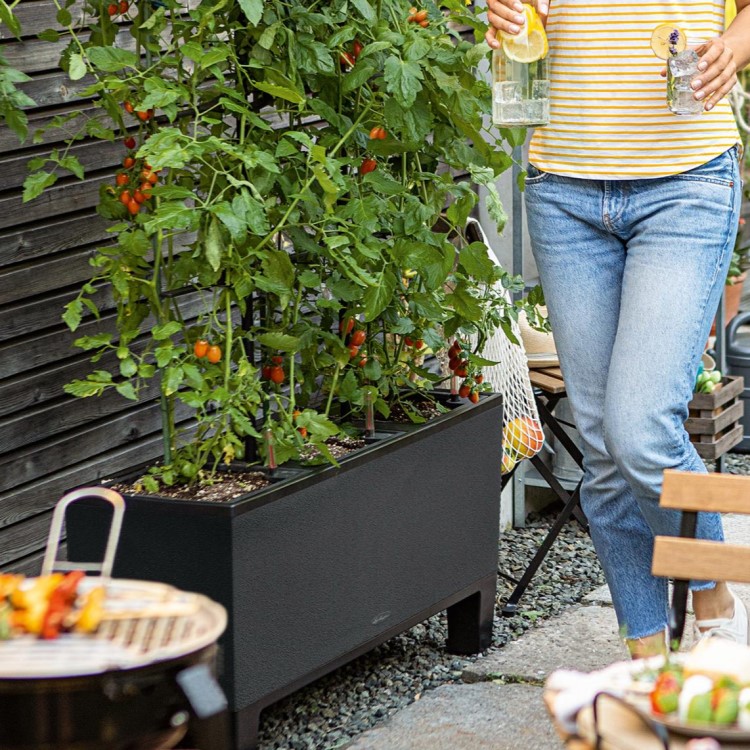 Self-watering planter box