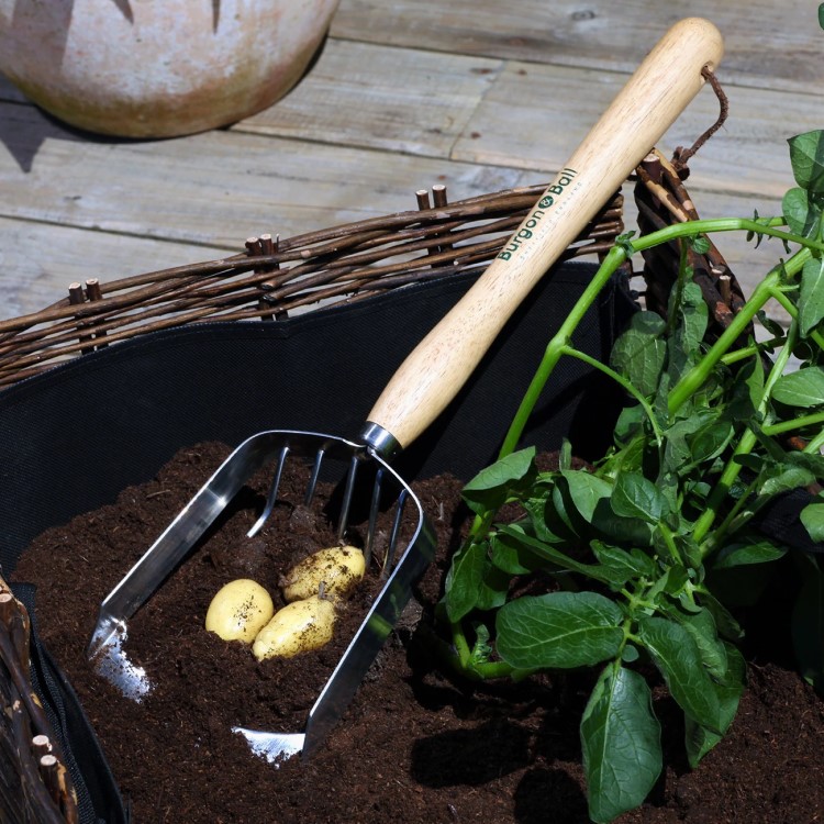 Stainless steel potato scoop