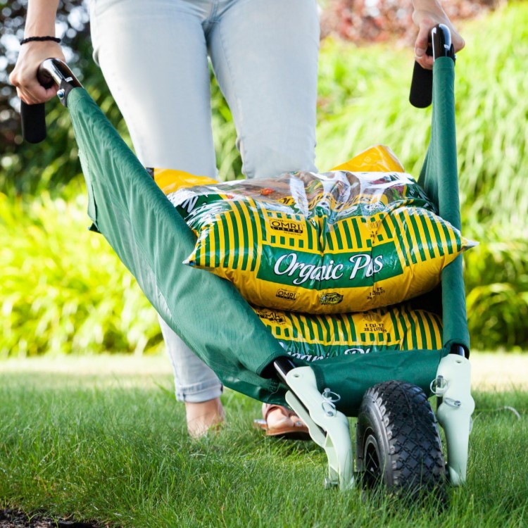 Collapsible wheelbarrow