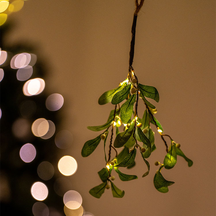 Mistletoe with lighting