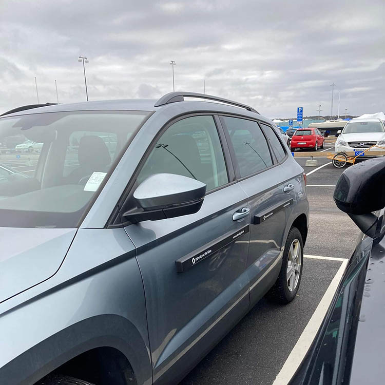 Magnetic door guards for the car