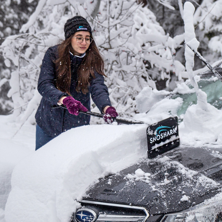 Snow Scraper SnoShark