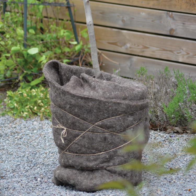 Winter protection for plants, wool mat