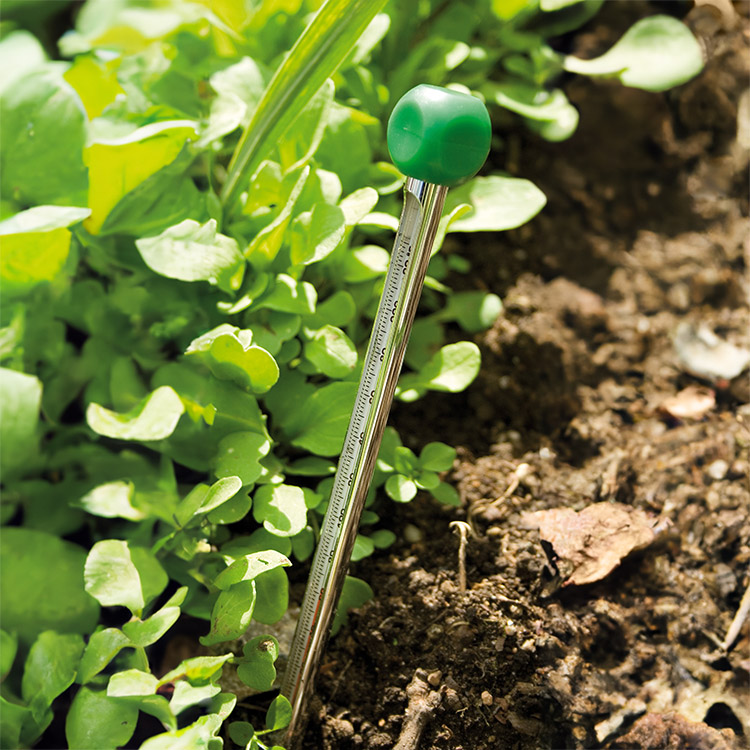 Soil thermometer