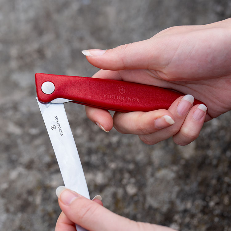 Foldable picnic knife
